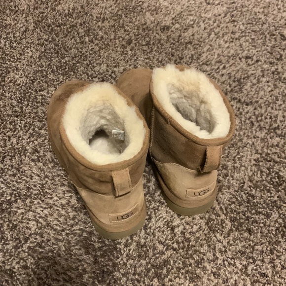 UGG Shoes - Classic Mini Ugg Boot
